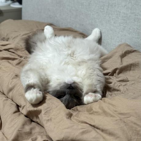 MCP Deep Research - MCP服务,MCP服务器,MCP教程