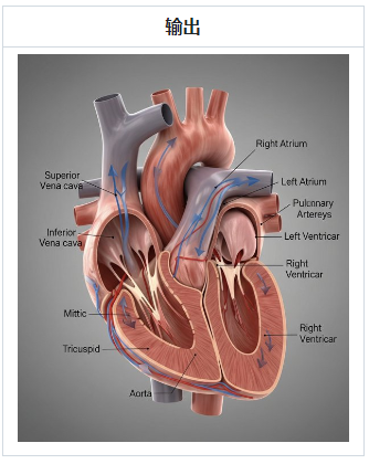 模型标注讲解图-Nano Banana提示词