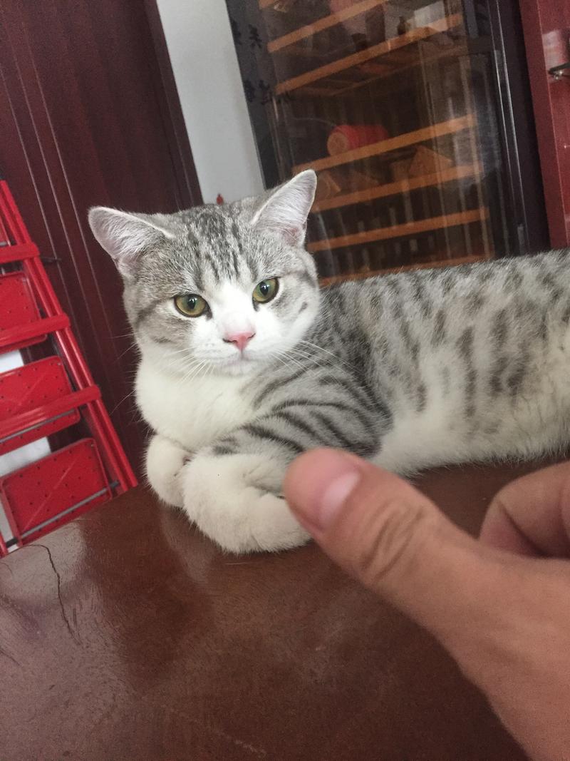 分享一点最近接触到的东西，诚心分享，有兴趣可以再深入聊下。
之前一直运作书单，虽然能赚但总感觉没有自