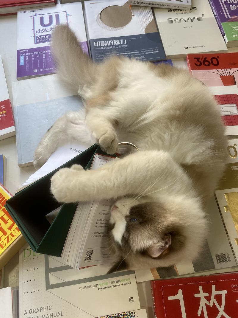 收到了，很精美，可以预见2020年会过的很快，感谢各位大佬辛勤的付出。
图4:虎视眈眈。
图5:哎哟