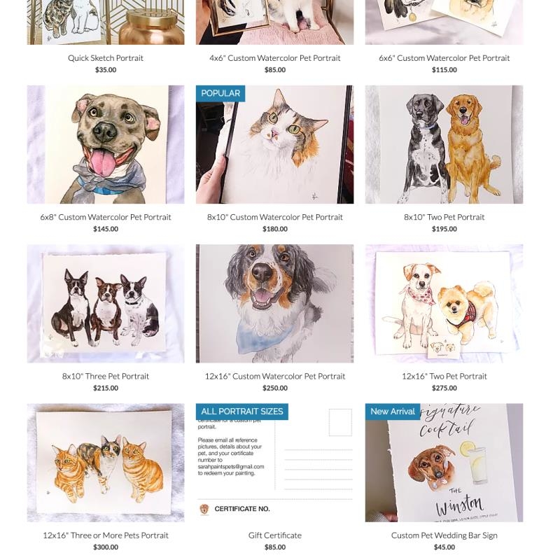 大家好，我是亦仁的助理鱼丸，大家的老朋友，同时也是生财有术首席会员服务官 ~
关于生财有术会员相关