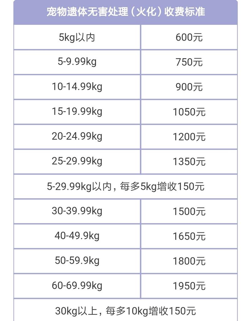 友话职说   玩火的少年
分享一段小众行业经历，宠物殡葬。
某天午后朋友来电，哭丧着说：我儿子没了