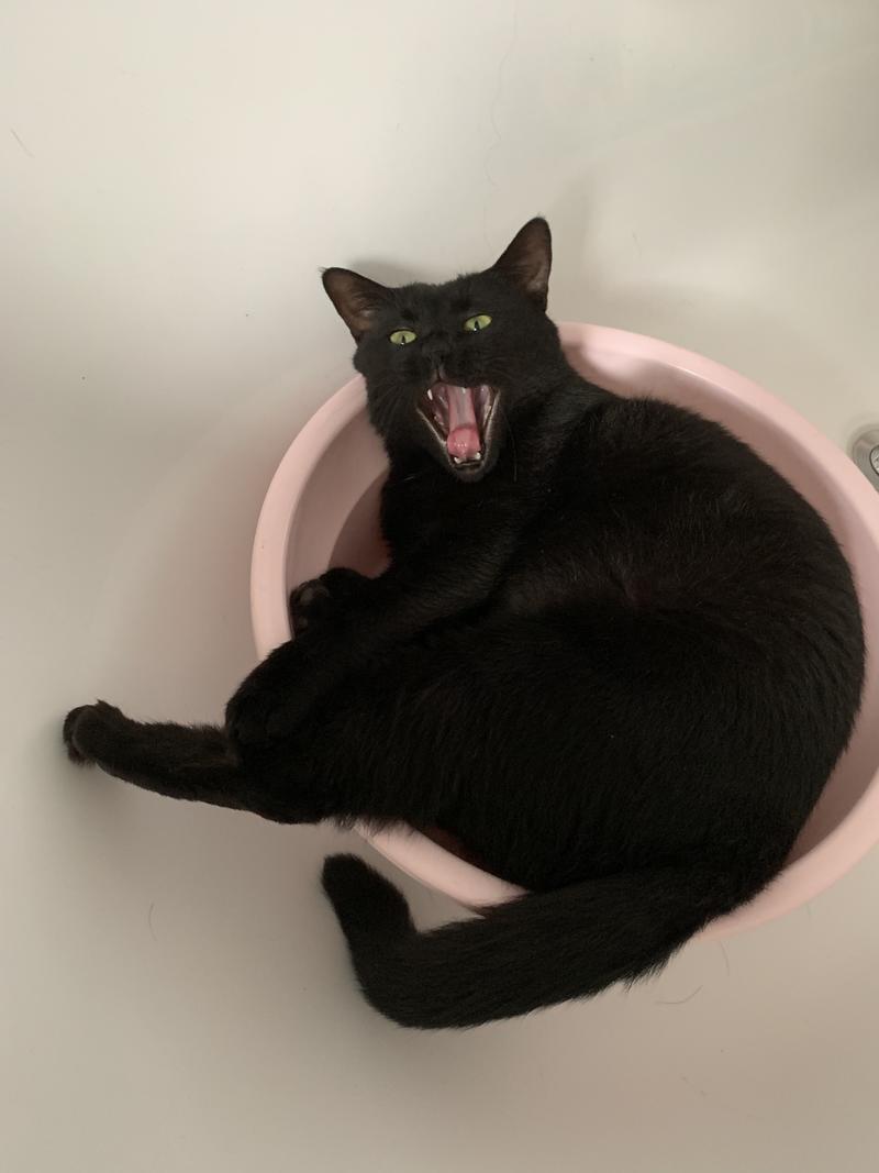 《互联网创业者如何开始练习写作？》