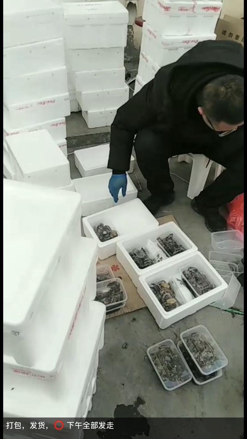 《一篇“好文案”，让我一个月赚了5万块，分享自己卖活鲍鱼实操全过程》 案例分享   思路分享