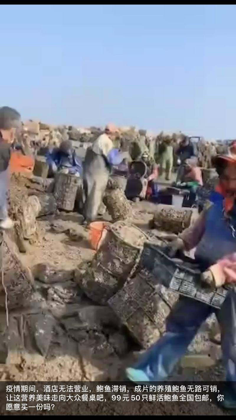 《一篇“好文案”，让我一个月赚了5万块，分享自己卖活鲍鱼实操全过程》 案例分享   思路分享