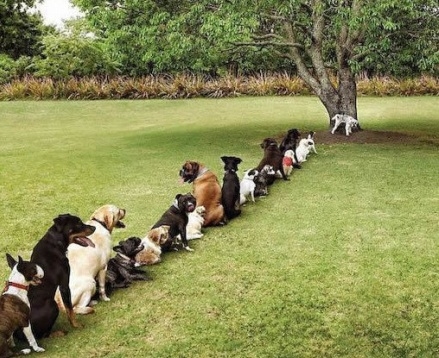 突然想到一个高大上的词
知乎贴吧引流矩阵