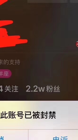 容易被封号。
但是可以快速做几十个号堆上去。。。。
抖音执行力上的现在还有很多机会做百万粉丝。。