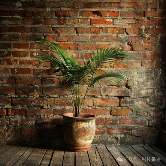 《AI绘画实战：用关键词唤醒沉睡的画布》模拟训练（第一部分）
今天无意看到这样一幅画，甚是喜欢。因