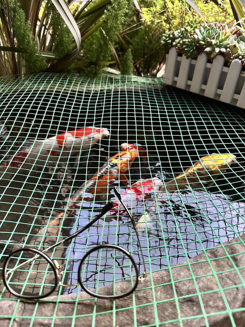 【粥左罗：自媒体+知识付费，2024年怎么做？】
没有参考任何人的任何资料，就是复盘自己过去几年、