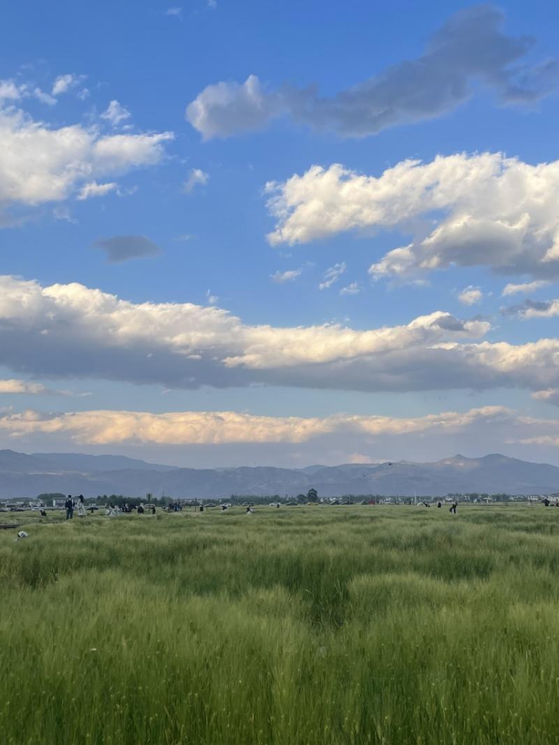 总喜欢收藏，但最后变成了囤积怎么办？
去年，《