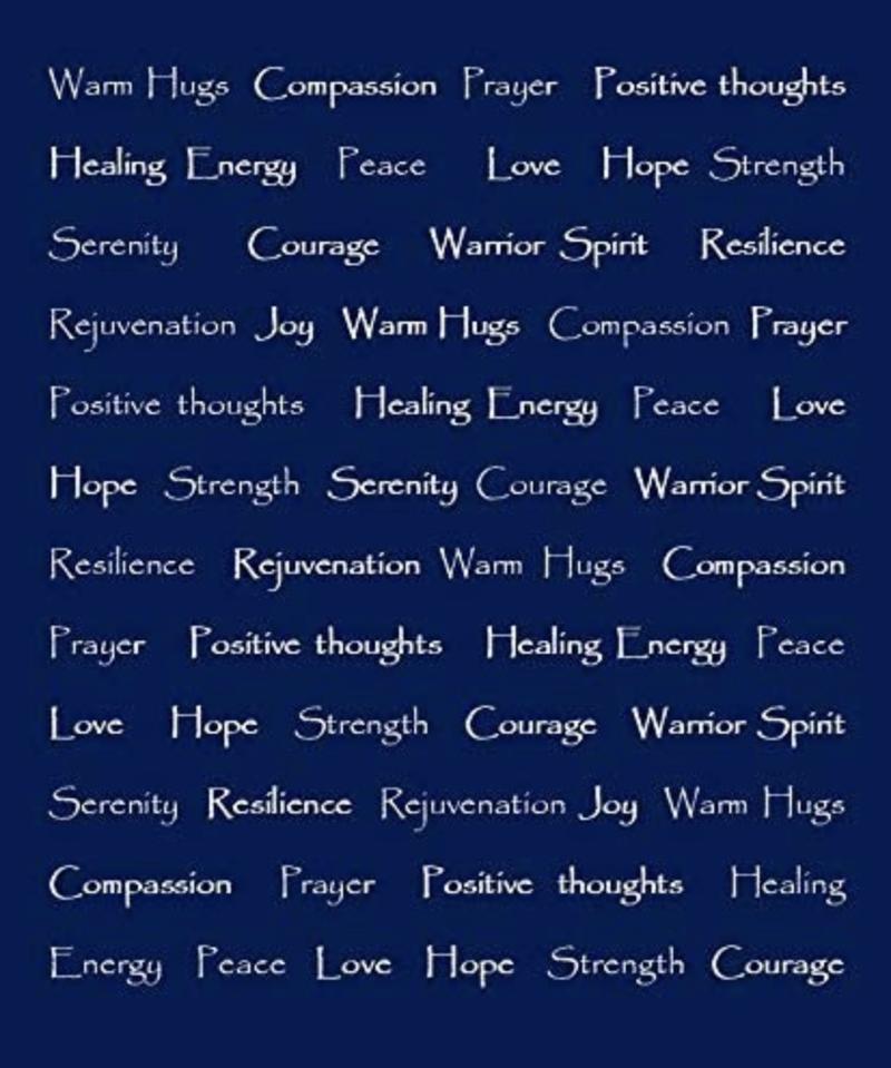 参加龙珠见面会