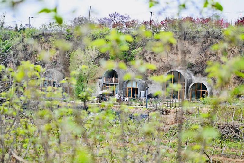 线下实体  
大家都在分享成功经验，那么由我来聊聊失败。
妈呀感觉这个我可以写一个系列怎么回事[