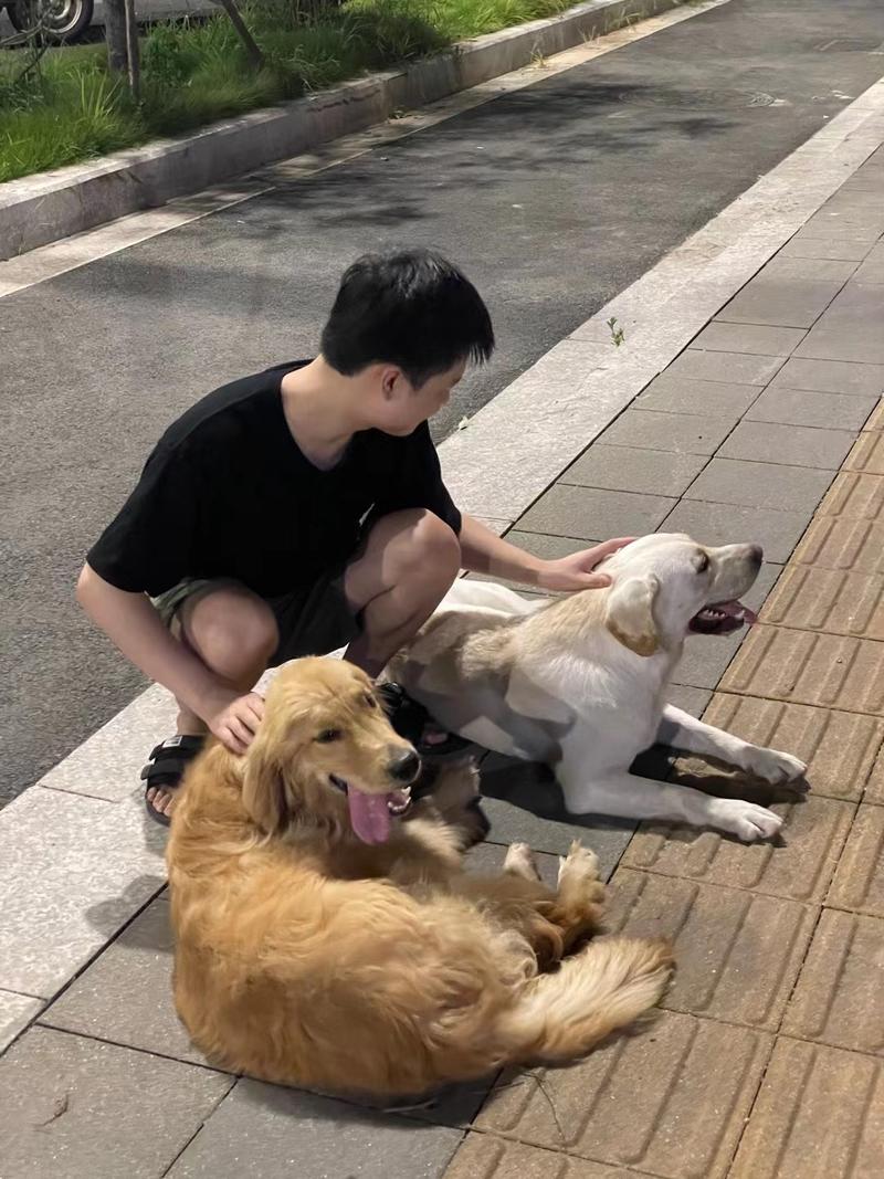 最近看张一鸣微博得到一些启发,感触颇多!他写道
研究聪明人如何犯错误,回报率很高。