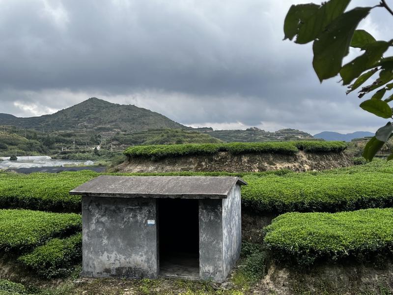 不知道为什么我越来越不喜欢打开生财了，
也许是因为自己没那么多时间精力，
也许是因为自己不愿意停下现