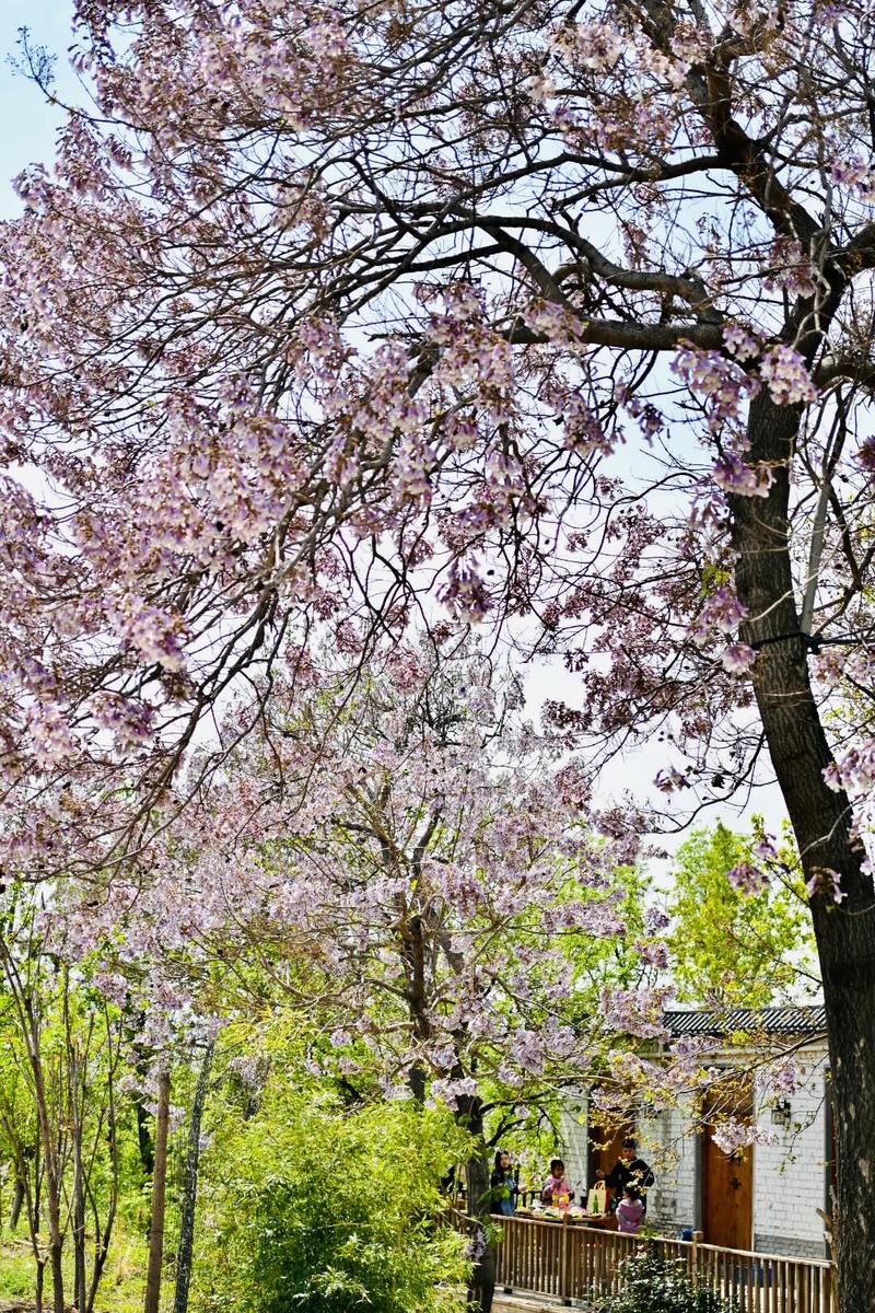 线下实体  
大家都在分享成功经验，那么由我来聊聊失败。
妈呀感觉这个我可以写一个系列怎么回事[