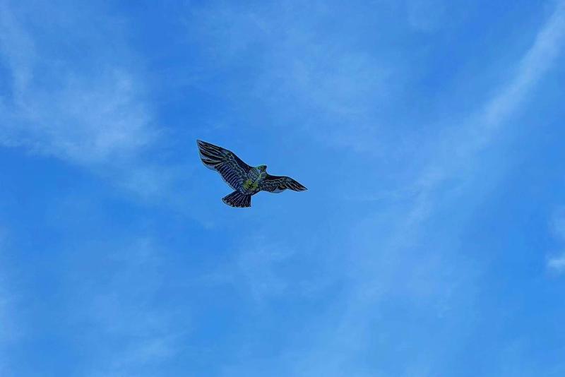 今日更新61 | 对于短视频赚钱这件事，我自己总结一套公式
————————————————
对于