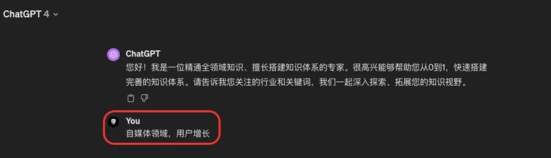 万用Prompt:帮你快速构建“知识体系”,激活ChatGPT上帝模式!
在如今这个信息爆炸的时代,