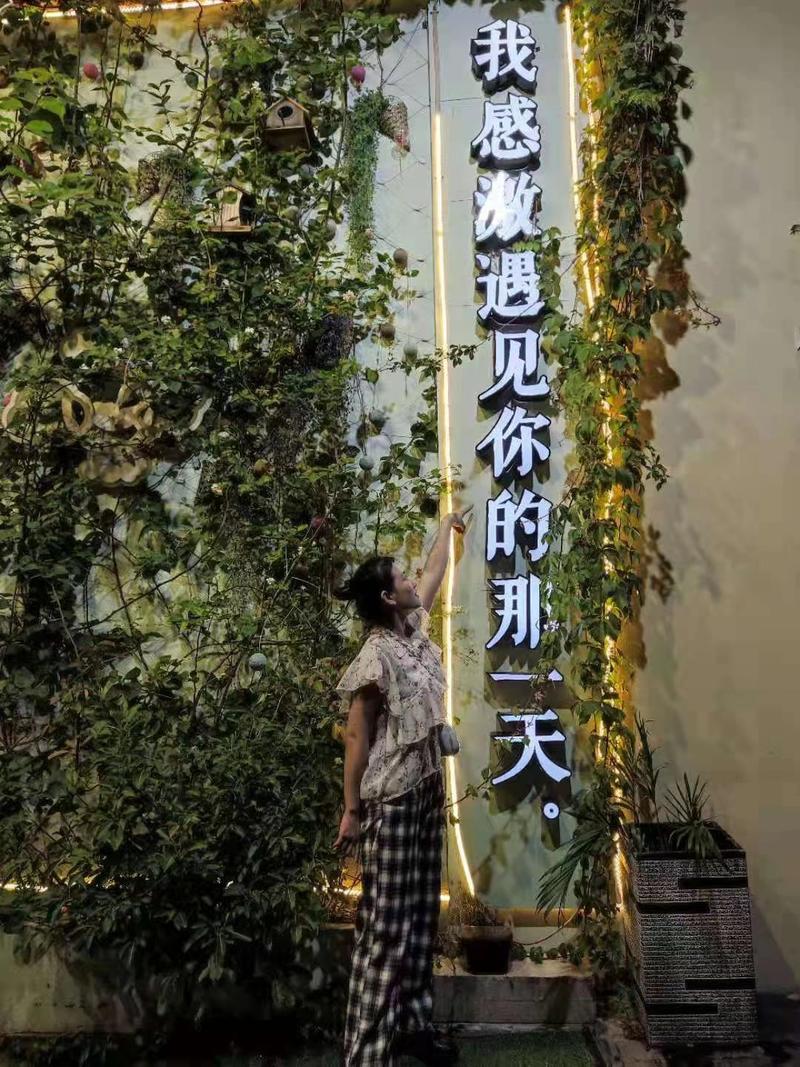 大家好呀，我是宋大刀，好久不见，这个暑假我去我花了近一个月的时间去拜访了生财有术20多位圈友。最终写