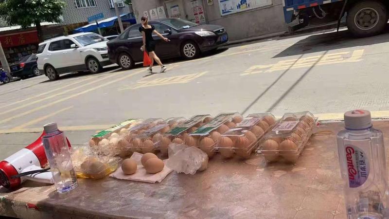 15天25万佣金10万利润,我是如何抓住拼多多守卫现金红利的?
大家好,我是阿宇,跟