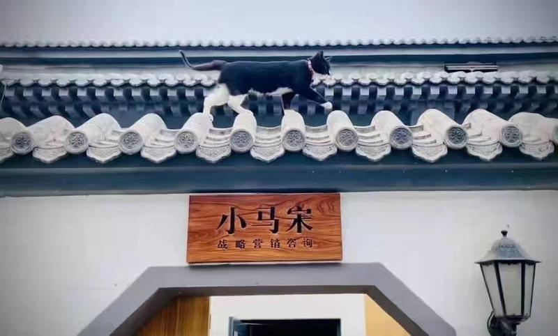 不是“人无我有，人有我优”，而是“人无我有，人有我无”
讲一个战略中遇到的小问题。
我们常常听到