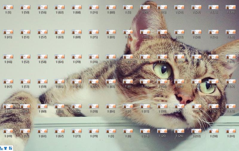 《复盘利用NASA火星船票赚到1w+的经历》
大家好，我是叨叨，潜水党小白一枚，紫菜团队实习生，在