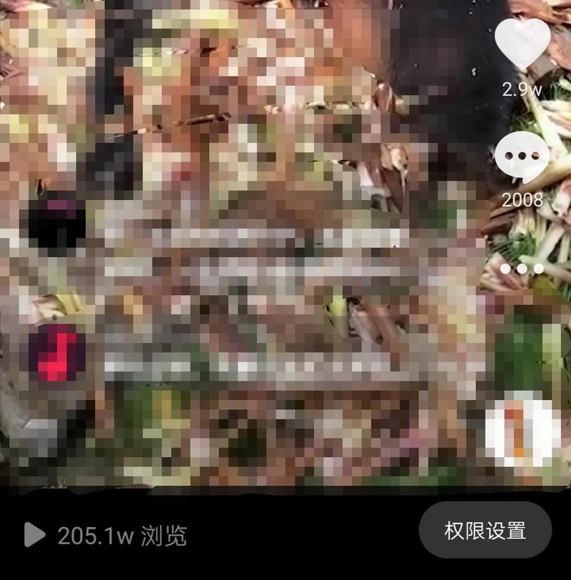 快手和抖音真的可以做到每一条短视频都破万，难者不会，会者不难而已
上次有小伙伴说，生财上快手和都抖音