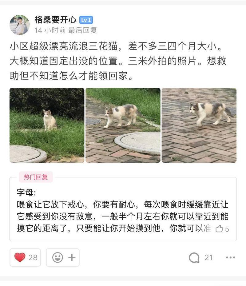 哈喽，大家好，我是小楠，前段时间我认真研究了下知乎圈子，并且直接运用的三个圈子都排列了某个关键词圈子