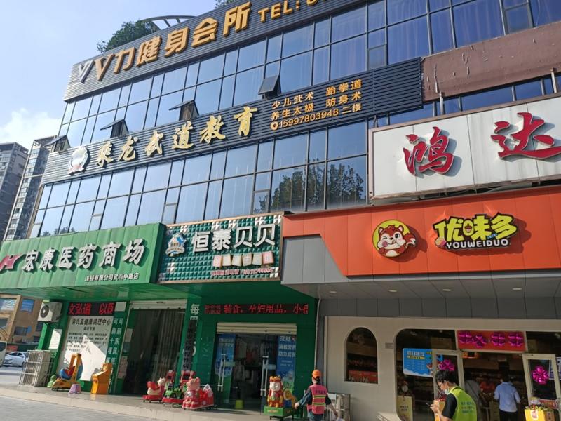 龙珠
