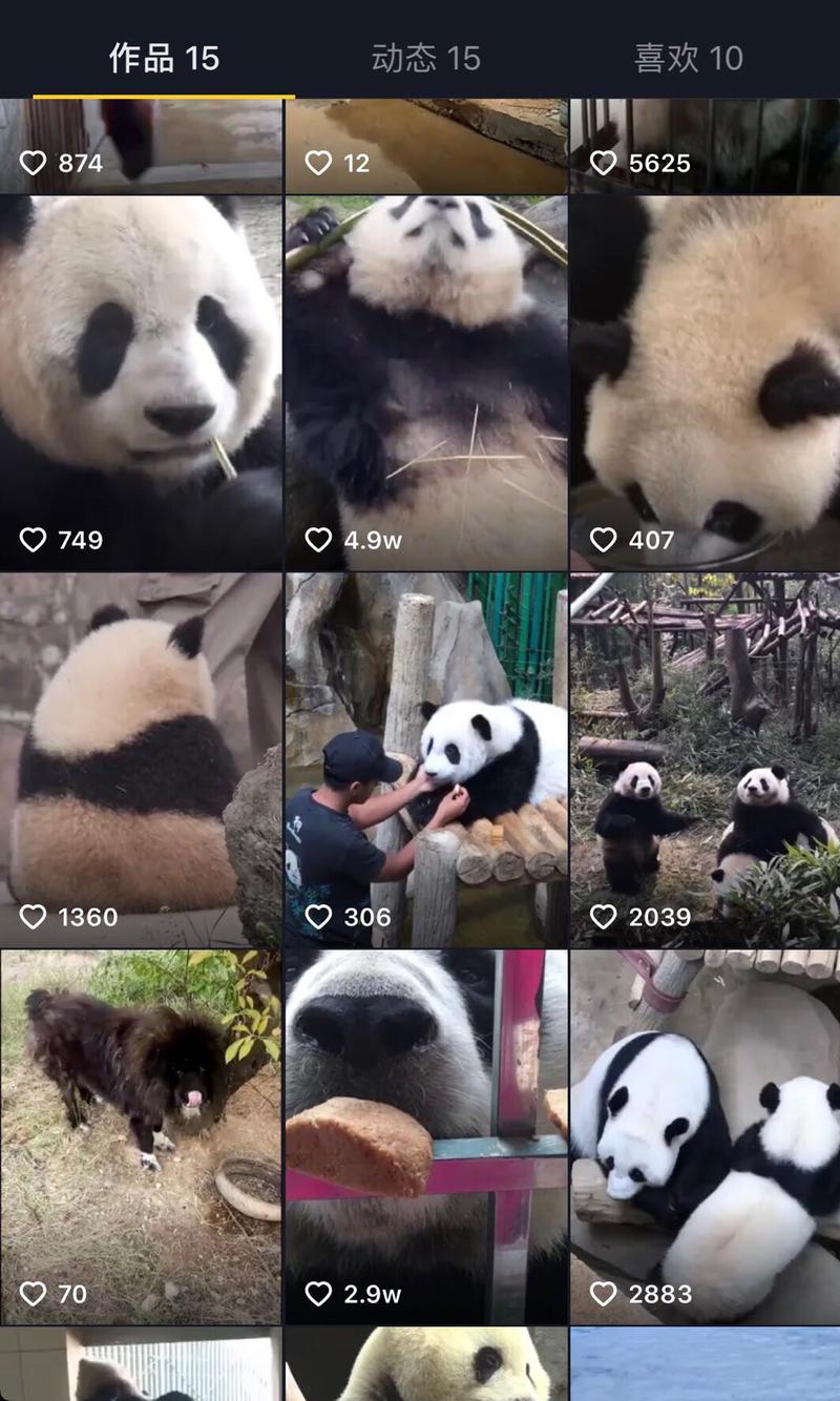 这是我朋友的账号，想问下圈友这种视频有什么变现的方式呢？
Ps:视频没有刷也没有投抖+，她自己纯兴趣