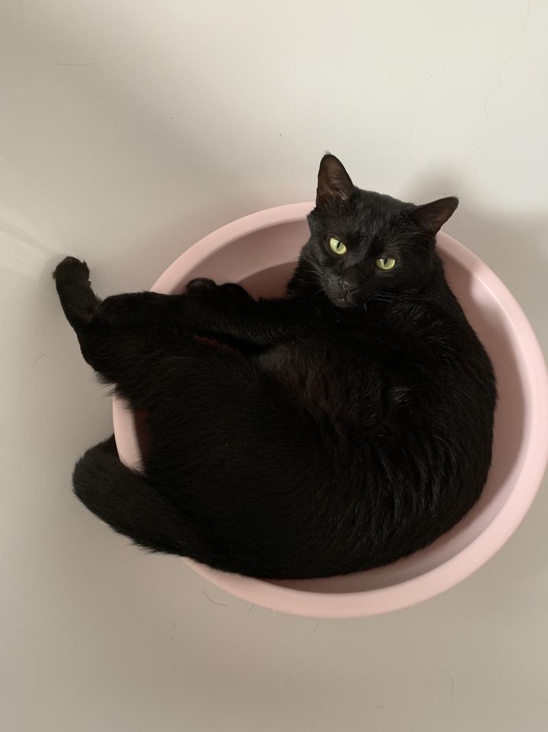 《互联网创业者如何开始练习写作？》