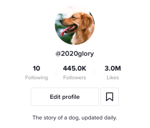 【我是如何从小白开始，在13天内完成大航海TikTok百万粉丝 】 副业一生荣禄