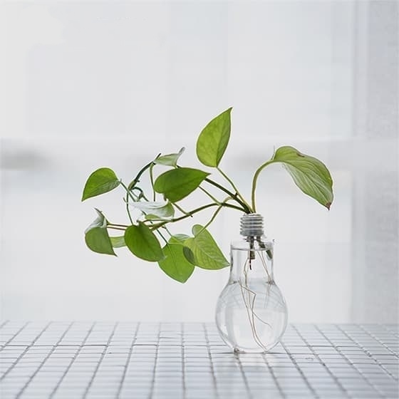 友话职说   玩火的少年
分享一段小众行业经历，宠物殡葬。
某天午后朋友来电，哭丧着说：我儿子没了