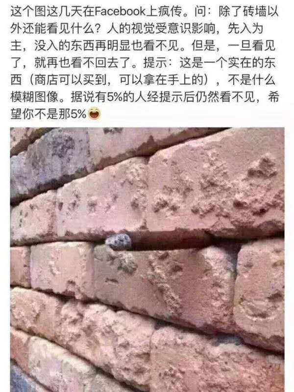 这图本来只想发在曹大星球作为闲聊没觉得和生财有关系。
但是仔细琢磨了一下，生财这个星球让我们看到了前