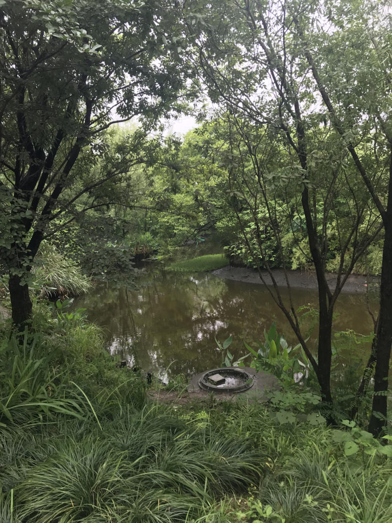今天很高兴线下跟大家见面交流.  生财有道社群很有价值. 
大家聊的区块链投资知识， 流量获取转化