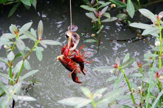 #认知获得财富#   
赚钱无非两种
看的比别人远， 跑的比别人快
上海一所小学， 包玉刚小学，