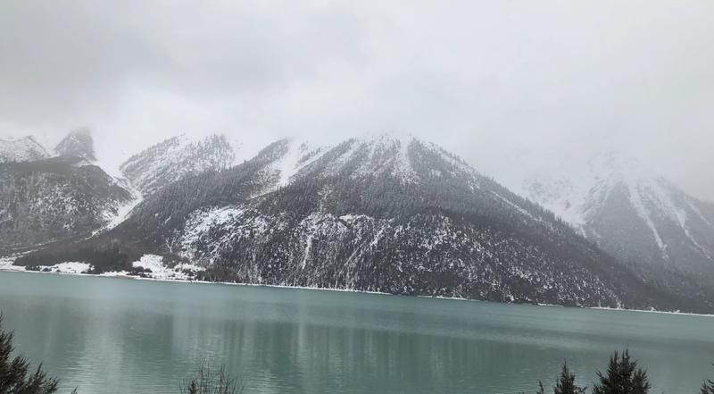 小林老师您好：
有个关于写作长文、短文的问题一直纠结，想和您请教一下，听听您的建议。
1、写作该