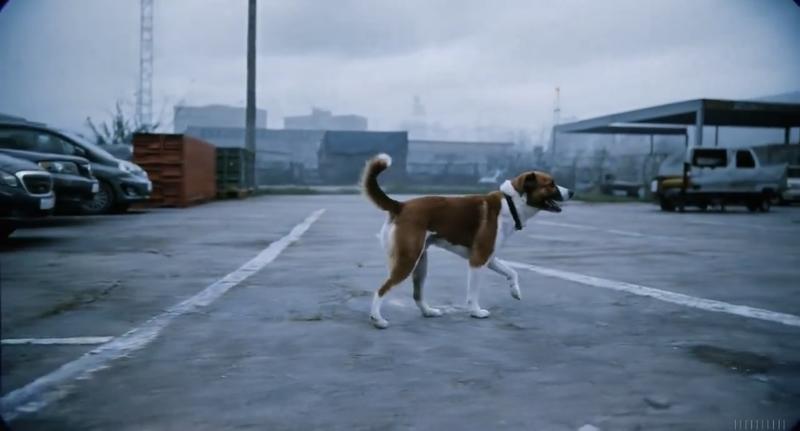 刚刚！Sora又更新了3个Ai视频
01.
一只中等大小、看起来很友善的狗走过一个工业停车场。环境