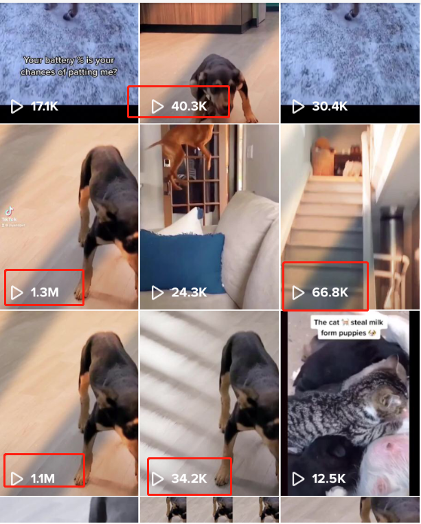 一起赚美元   TIKTOK如何在15天内，从0做到20W粉丝，变现100多美金！
大家好，我是w