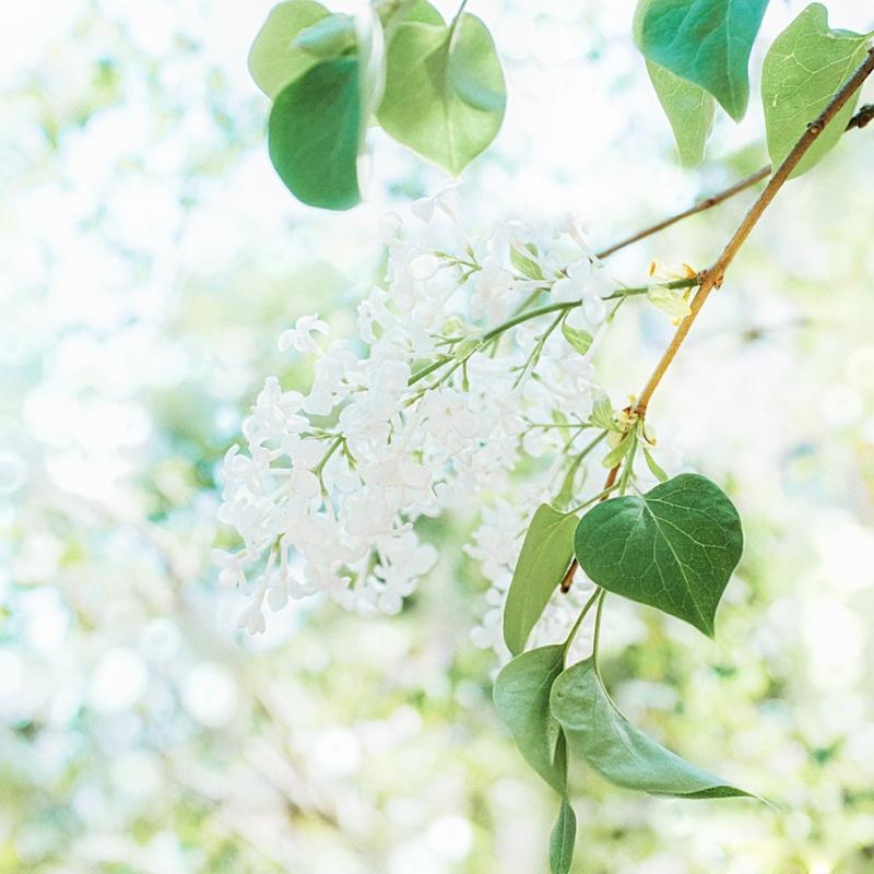 复盘   案例分享   小焦亚马逊修bug系列  
2020年10月26号，受贵人之恩，我来到40