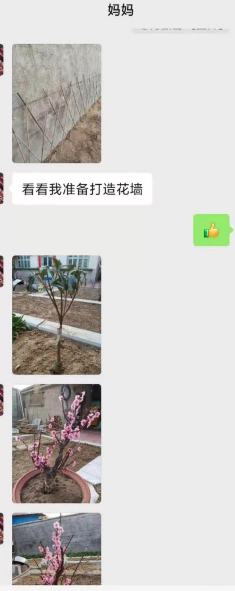 《复盘2021年的第一个一百万经验与感悟》