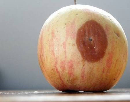 【新人参加见面会后必读】如何正确利用见面会获得的信息？
-------
大家好，我是郭晓文，江湖人称