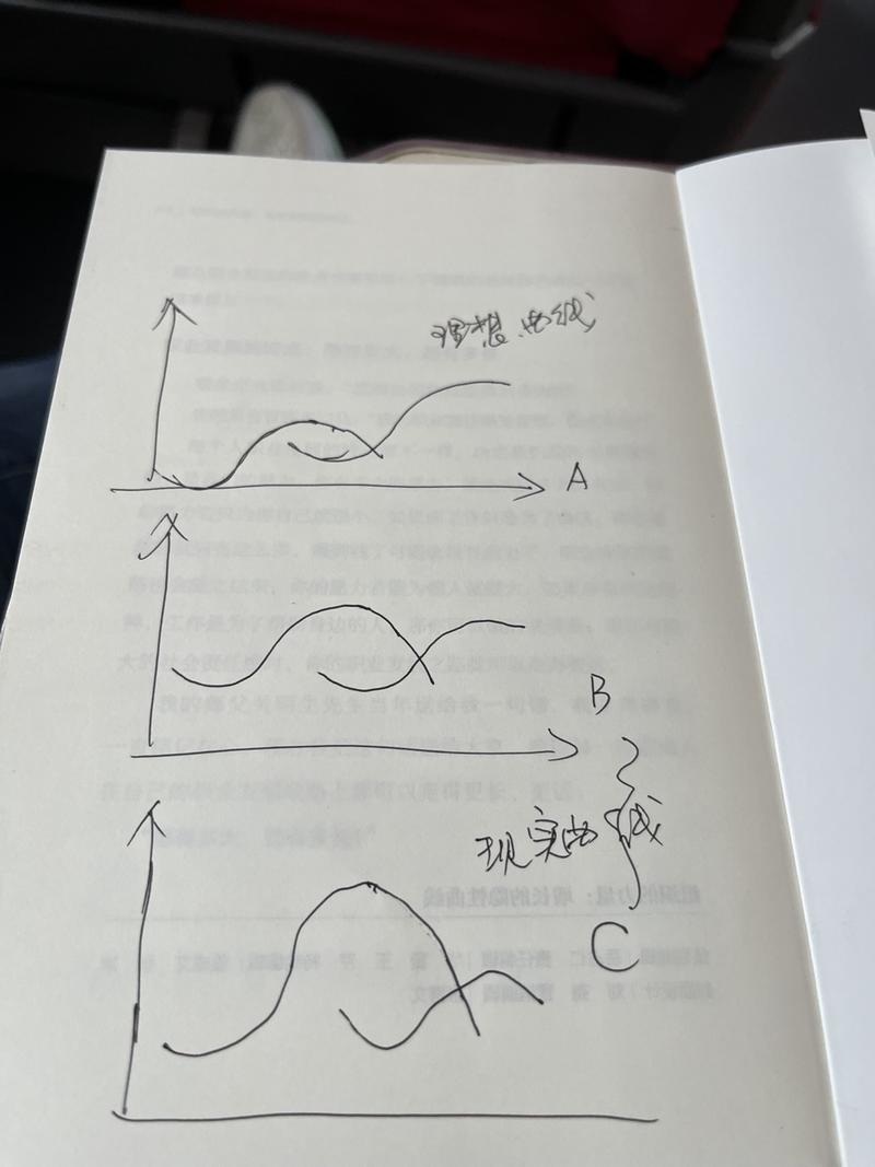 我们说到第二曲线，似乎都应该是A那样的。
但我想，很多第二曲线，只是企业的第二种业务，当第一曲线下降