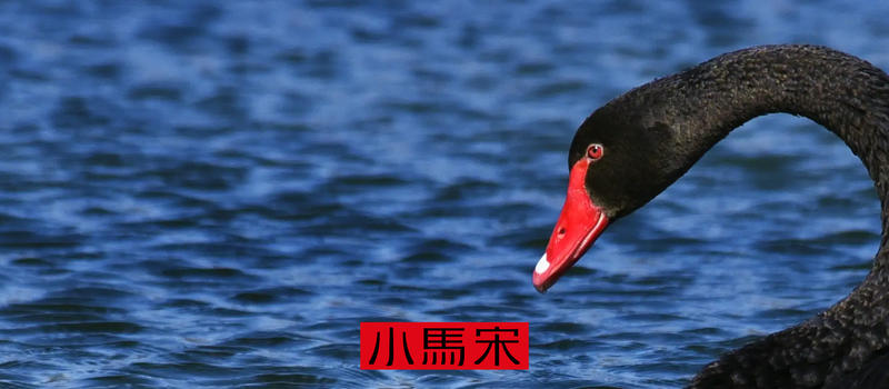 中国人的平均寿命大概是76岁。
今年76岁的一位老人，他出生在1946年，这位老人整个的生命历程是