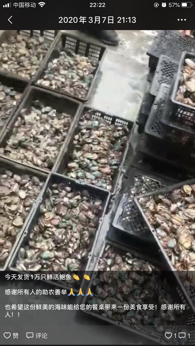 《一篇“好文案”，让我一个月赚了5万块，分享自己卖活鲍鱼实操全过程》 案例分享   思路分享