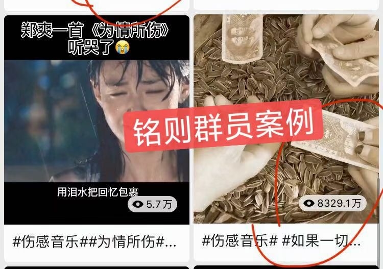 分享做视频号的2点发现