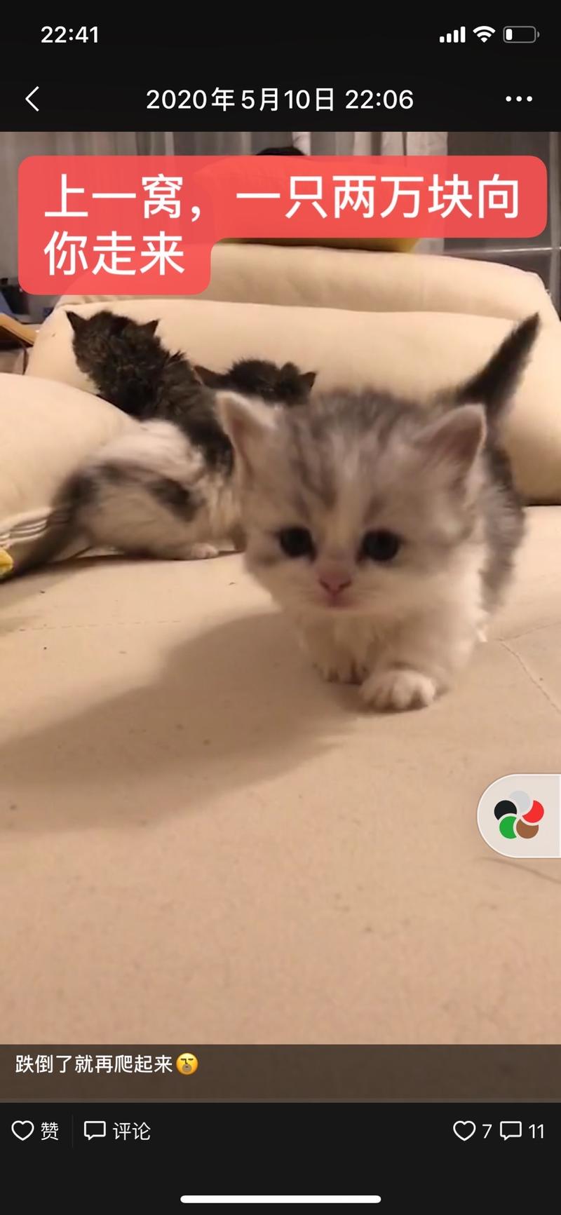 【生财CP分享】养猫2年赚35万，介绍一个少有人知但性价比超高的副业。