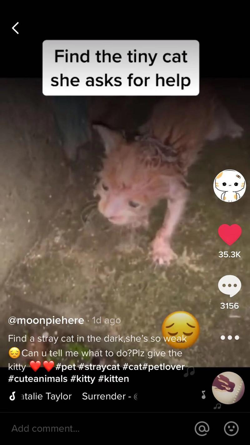 hello ,大家好，第一次发帖，我是黄颖聪5.0,大航海第二期，第二组，以下讲述我是如何通过白嫖流