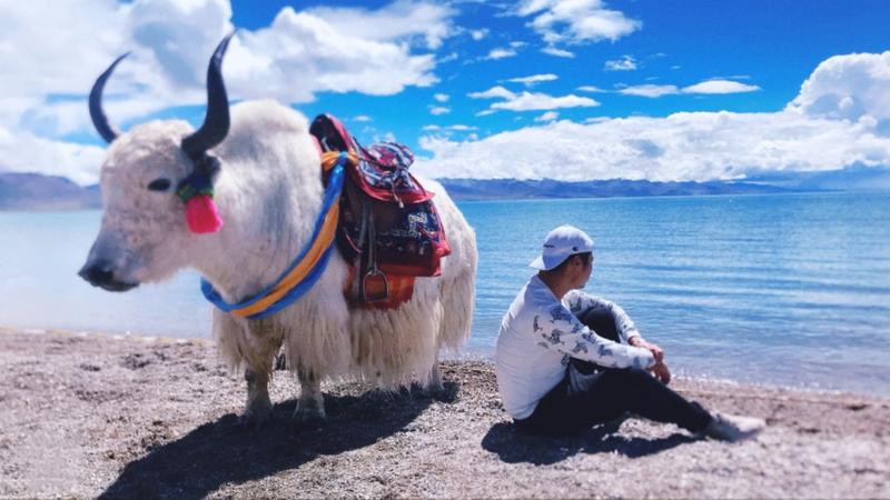 各位前辈大家好,我是紫小圆,作为新入社群的人潜水了几天看了一些大咖的文章,受益匪浅!
之前的自我介