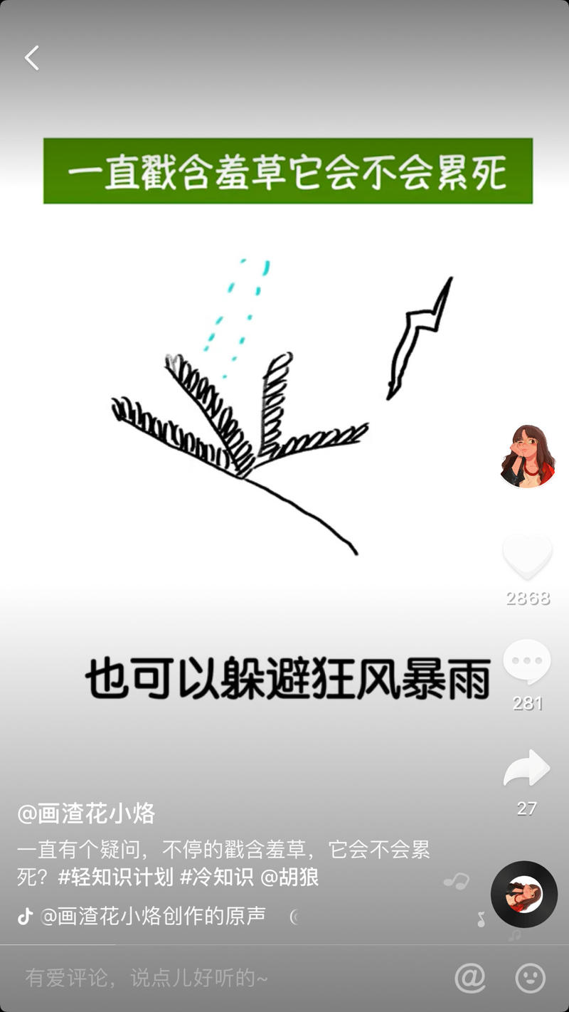 大佬请问一下抖音这种视频是用什么软件做的