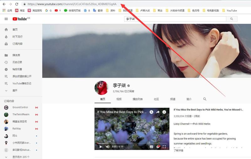 一起赚美元   YouTube  
如何查询某个频道能赚多少钱？这个专业评测网站